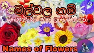 මල්වල නම් සිංහලෙන් සහ ඉංග්‍රිසියෙන් Names of Flowers in Sinhala