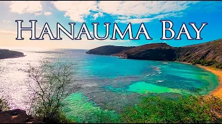 Hanauma Bay Snorkeling Day (re-opened and full of life in 2021)