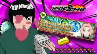 ShinobiStriker War Arc Sakura Experience.Exe