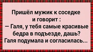 Как Галя Соседу Дала! Сборник Свежих Анекдотов! Юмор!