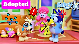 Bluey's Toy The Power of Apology and Forgiveness - How Bluey Reconnecting with Bingo? | Remi House