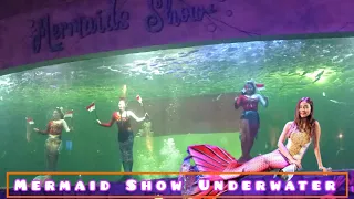 Mermaid Show Underwater - Ocean Dream Samudra Ancol