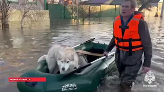 На базе экоцентра «Добрый пластик» щелковцы собрали гуманитарную помощь для жителей Орска