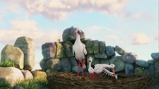 A Storks Journey