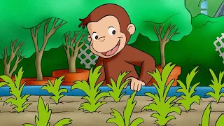 El jardín mágico 🌱 Jorge El Curioso En Español