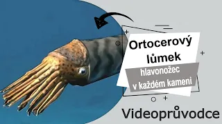 Ortocerový lůmek - hlavonožec v každém kameni