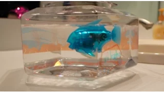 HEXBUG AQUABOT ROBOT FISH | INtoyreviews