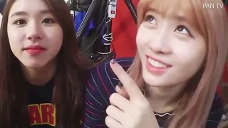 TWICE CHAEYOUNG FUNNY & CUTE MOMENTS