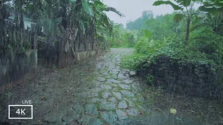 Rainy Day Walking Tour | Relaxing Rain Sounds | ASMR Sleep Compilation | Rainy Places in India