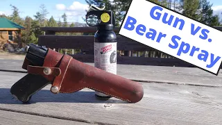 Should You Carry a Firearm or Bear Spray?  Backpacking in Grizzly Bear Country