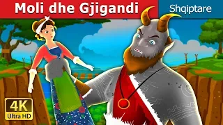 Moli dhe Gjigandi | Molly and The Giant Story | Perralla per femije | Perralla Shqip