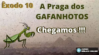 Êxodo 10 - Os Gafanhotos vem aí ...