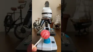 LOLİPOP ŞEKER MİKROSKOP’TA  #lollipop candy #şeker #suger #microscope