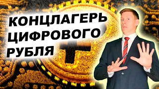 Цифровой рубль и CBDC. Цифровые валюты - денежный концлагерь?