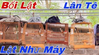 Lân Tê Máy Lật || Bổi Vip Lật Cực Hay Nết Đáng Đồng Tiền Bát Gạo Đánh Cực Chiều Sâu, Lân 800k