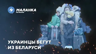 📍Судьи вспоминают законы / Нехватка медиков / Разгон акции для детей беженцев