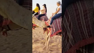 #camel #riding #ride #camels #enjoy #experience #happy #moments #desert #desertsafari #happiness