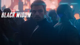 The Falcon & The Winter Soldier (Black Widow | Big Game Spot style)