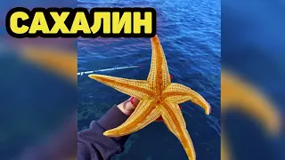 Рыбалка на камбалу (САХАЛИН)    #Сахалин #Рыбалка #Камбала