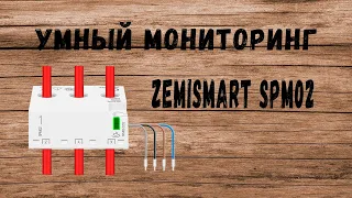 Умный энергомониторинг всего дома. Zemismart SPM02.