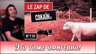 ДИКТОР СМОТРИТ | Le Zap de Cokaïn.fr n°110