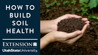 How to Build Soil Health