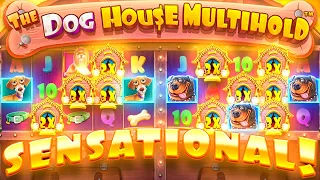 FINALLY... MY BIGGEST WIN YET ON DOG HOUSE MULTIHOLD!!
