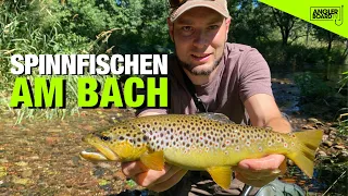 Angeln auf Forellen am Bach | Tipps für Bachforellen | Spinnfischen mit Wobblern | ANGLERBOARD TV