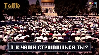 А к чему стремишься ты? - Шейх Захир Махмуд