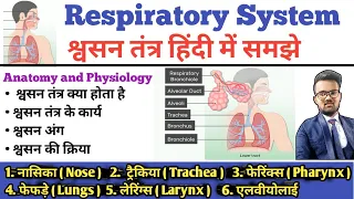 Respiratory System (श्वसन तंत्र) | Respiratory Tract | Lungs | Bronchi | Trachea | Alveoli | Larynx