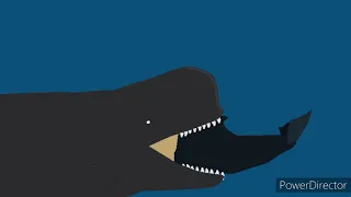 livyatan vs sperm whales