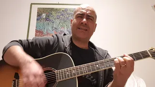 Love Song - The Cure (acoustic cover) @thecure #thecure #lovesong #robertsmith #marcopulcini