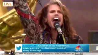 Aerosmith - Love In An Elevator NBC LIVE (Official Video)