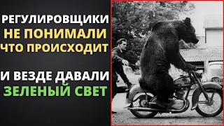 Советский медведь на мотоцикле улизнул из цирка в Германии. Пытались догнать,но медведь был не прост
