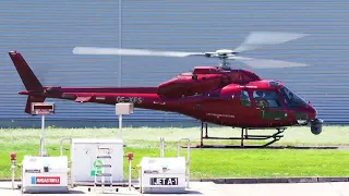 Sky Heli Eurocopter AS 355 F2 Ecureuil landet am Flugplatz Bayreuth | Standby Aviation
