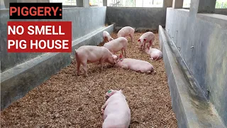 How To Make NO SMELL PIG HOUSE ! Very Clean System!