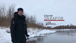 Окунь на микроджиг зимой. #LiveSL N2.