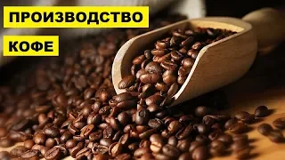 Производство Кофе как бизнес идея