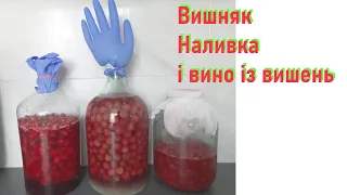 Вишняк, вишнева наливка і вино із вишень.Три рецепти в одному відео.Спробуйте,Вам сподобається.