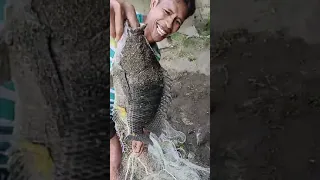 Net Fishing || Fishing Videos  fishing video || Fishing Survival