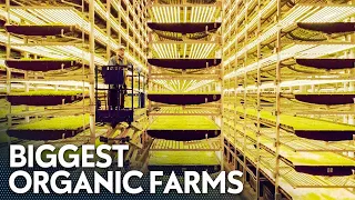 BIGGEST Organic Farms Around The World You NEVER Knew About!
