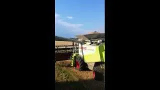 Schmiedhof - Weizenernte 2012 - Claas Lexion 600