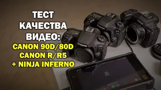 Тест качества видео: Canon 90D/80D/R/R5 вместе с Ninja Inferno