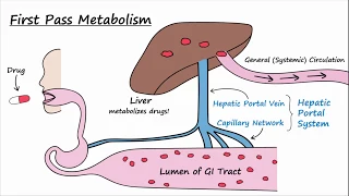 Bioavailability and First Pass Metabolism