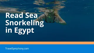 Red Sea Snorkeling in Sharm El Sheikh, Egypt (Сноркелинг в Красном море, Египет)