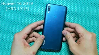 Huawei Y6 2019 (MRD-LX1F) замена LCD модуля