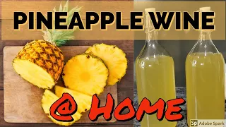 Pineapple Wine Making At Home |  How To Make Pineapple Wine | Easy Pineapple Wine Recipe