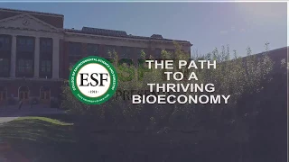 The Path to a Thriving Bioeconomy