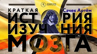 Краткая история изучения мозга / Академ клуб