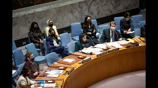 UAE Statement at the UN Security Council Meeting on Afghanistan - 2 March 2022